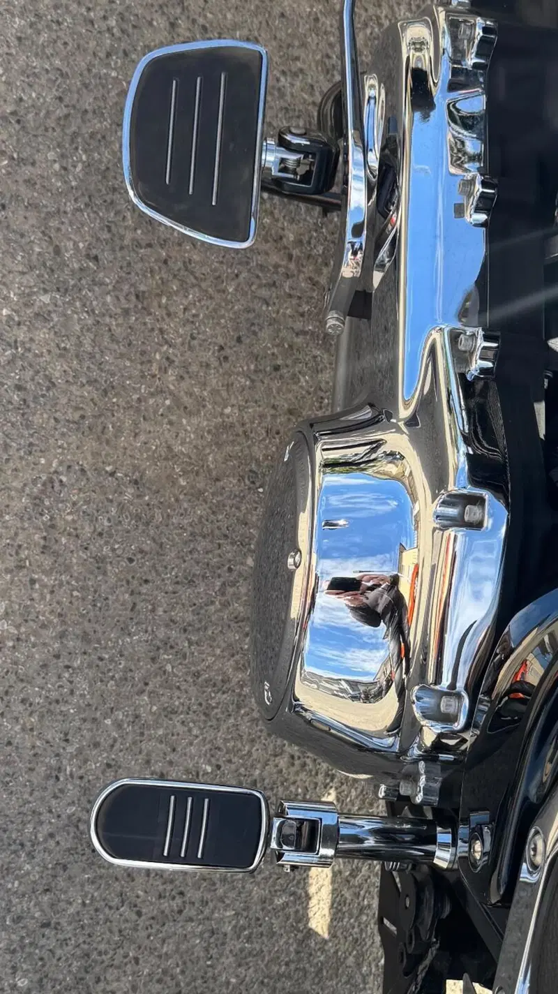 Harley-Davidson 107 Low Rider (2018 - 20) - FXLR (17)