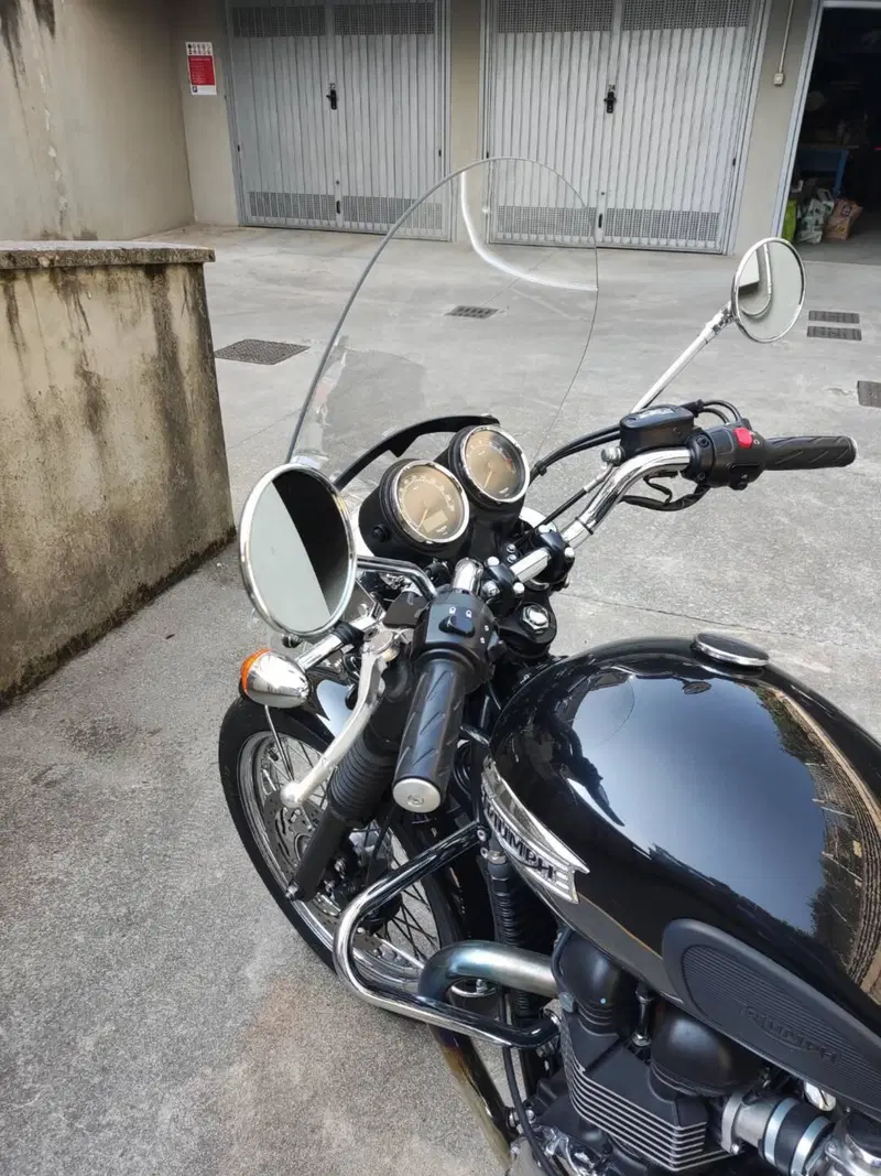 Triumph Bonneville T100 (2008 - 16) (3)