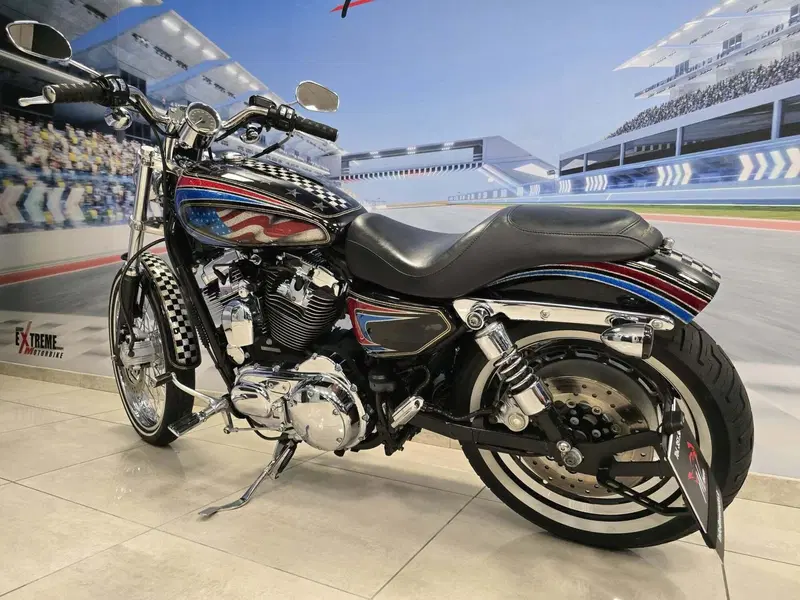 Harley-Davidson 1200 Custom (2004 - 06) - XL 1200C (5)