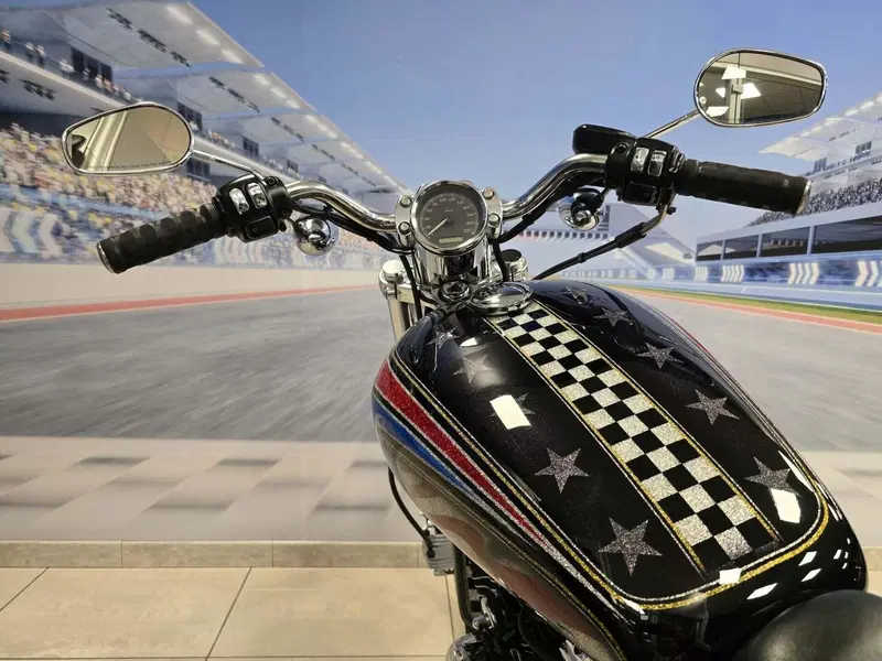 Harley-Davidson 1200 Custom (2004 - 06) - XL 1200C (6)