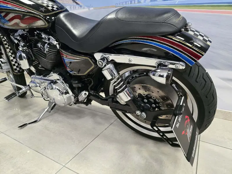 Harley-Davidson 1200 Custom (2004 - 06) - XL 1200C (9)