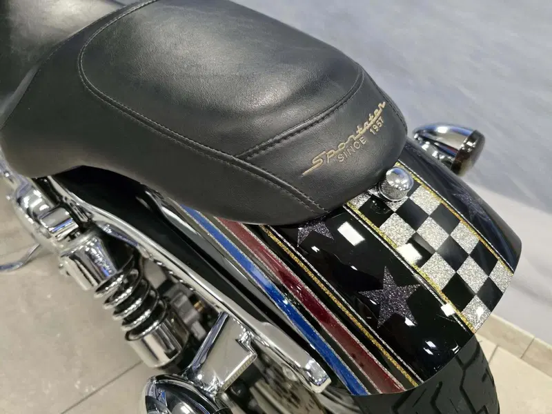 Harley-Davidson 1200 Custom (2004 - 06) - XL 1200C (10)