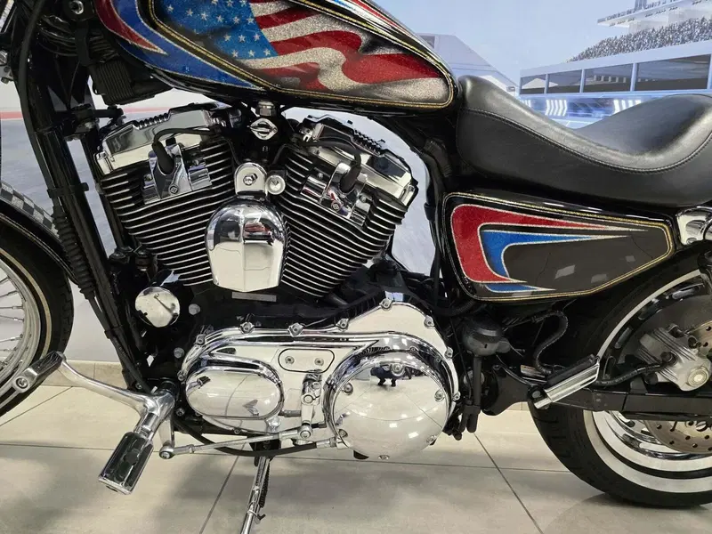 Harley-Davidson 1200 Custom (2004 - 06) - XL 1200C (12)