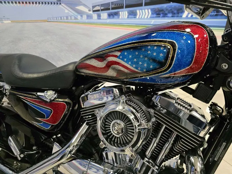 Harley-Davidson 1200 Custom (2004 - 06) - XL 1200C (16)