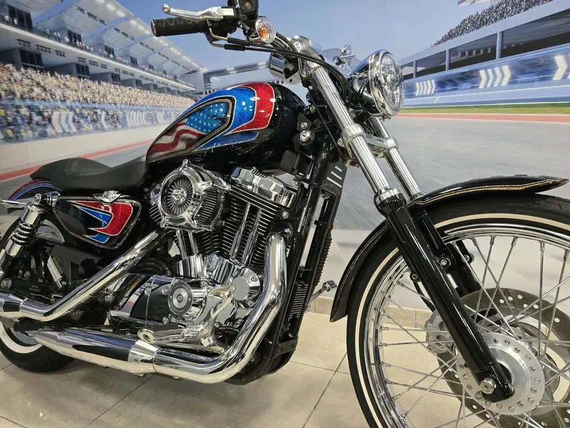 Harley-Davidson 1200 Custom (2004 - 06) - XL 1200C (18)