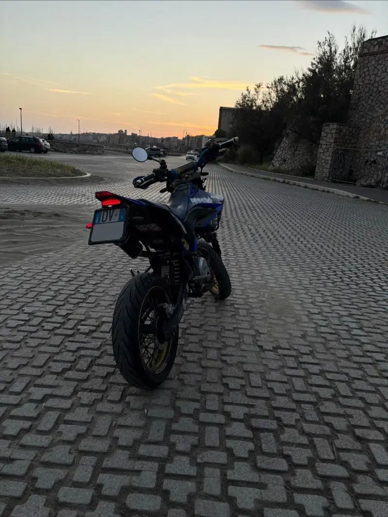 Yamaha WR 125 X (2009 - 16) (4)