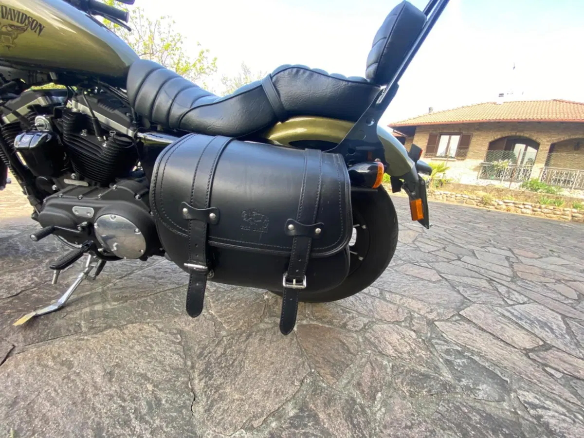 Harley-Davidson 883 Iron (2017 - 20) - XL 883N (4)
