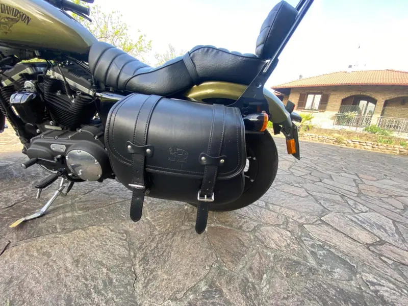 Harley-Davidson 883 Iron (2017 - 20) - XL 883N (4)