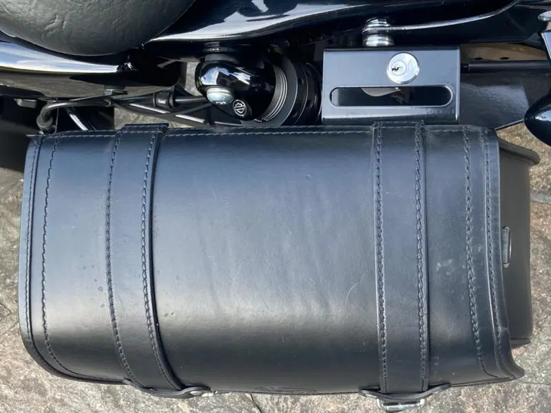 Harley-Davidson 883 Iron (2017 - 20) - XL 883N (6)