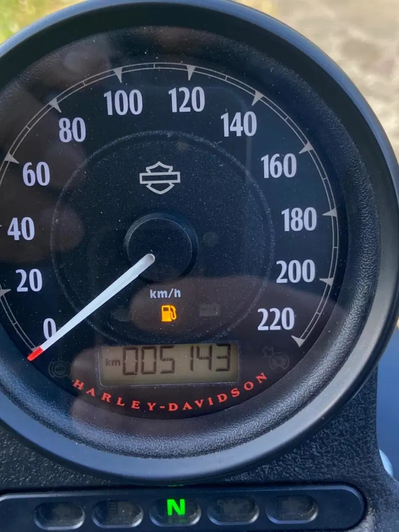 Harley-Davidson 883 Iron (2017 - 20) - XL 883N (7)