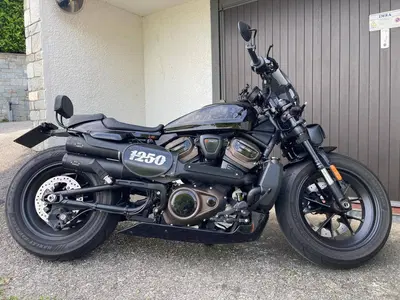 Harley-Davidson Sportster S (2022 - 24) usata