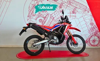 Honda CRF 300 Rally (2021 - 24) usata