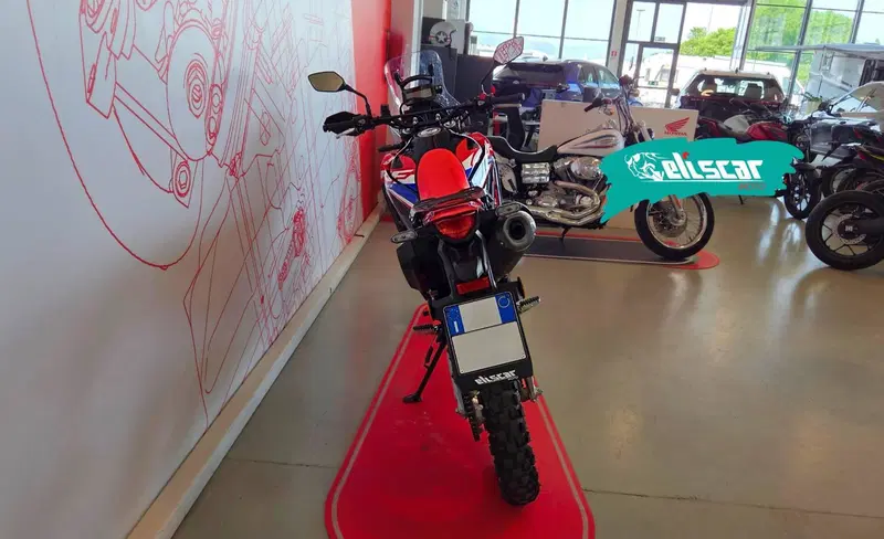 Honda CRF 300 Rally (2021 - 24) (5)