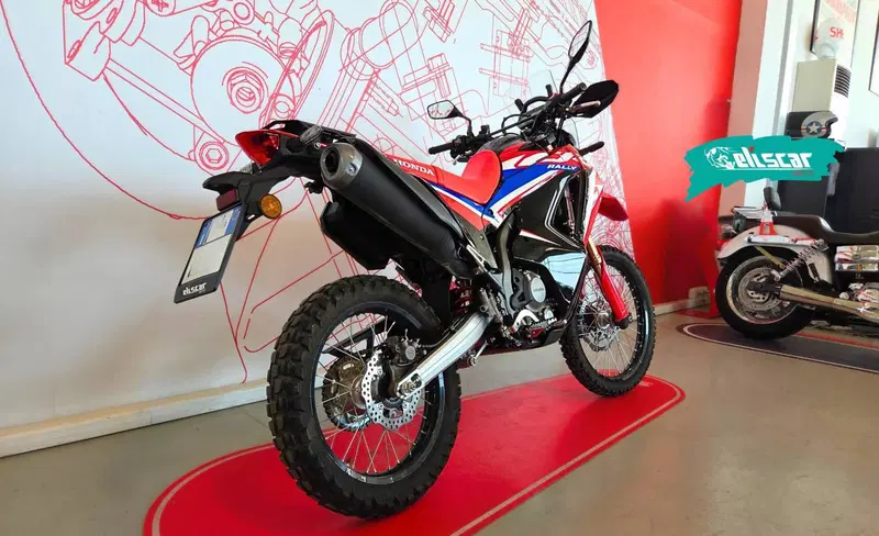 Honda CRF 300 Rally (2021 - 24) (4)