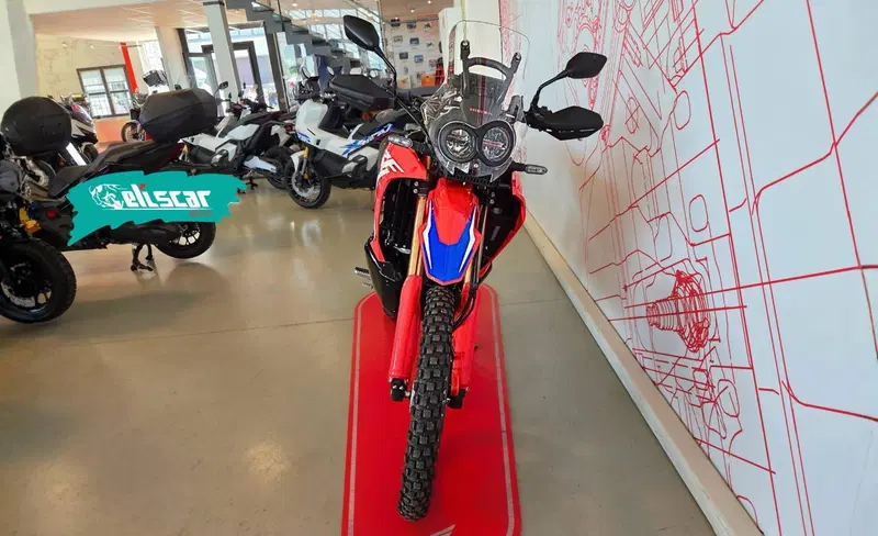 Honda CRF 300 Rally (2021 - 24) (3)