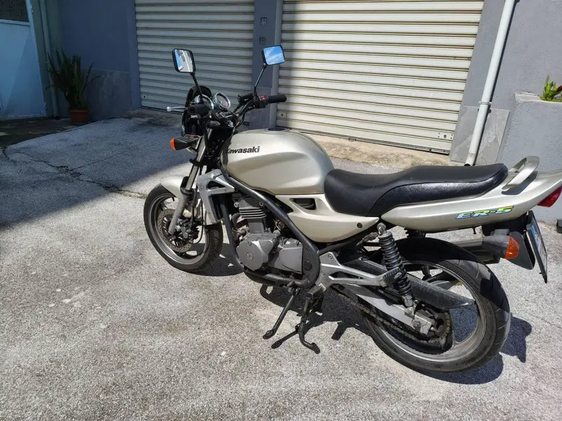 Kawasaki ER-5 500 (2001 - 06) (2)