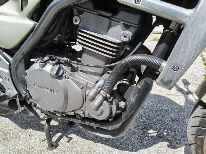 Kawasaki ER-5 500 (2001 - 06) (11)