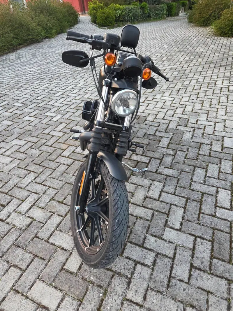 Harley-Davidson 883 Iron (2017 - 20) - XL 883N (3)