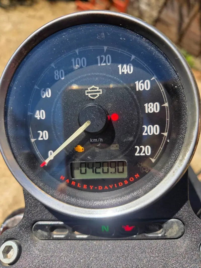 Harley-Davidson 883 Iron (2017 - 20) - XL 883N (10)