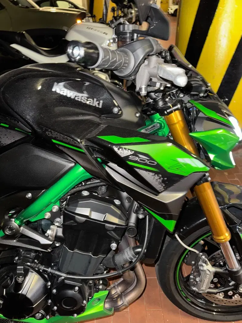 Kawasaki Z 900 SE Performance (2023 - 24) (9)