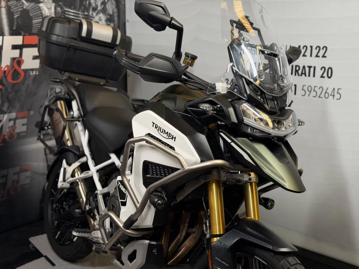 Triumph Tiger 1200 Rally Explorer (2022 - 23) (6)