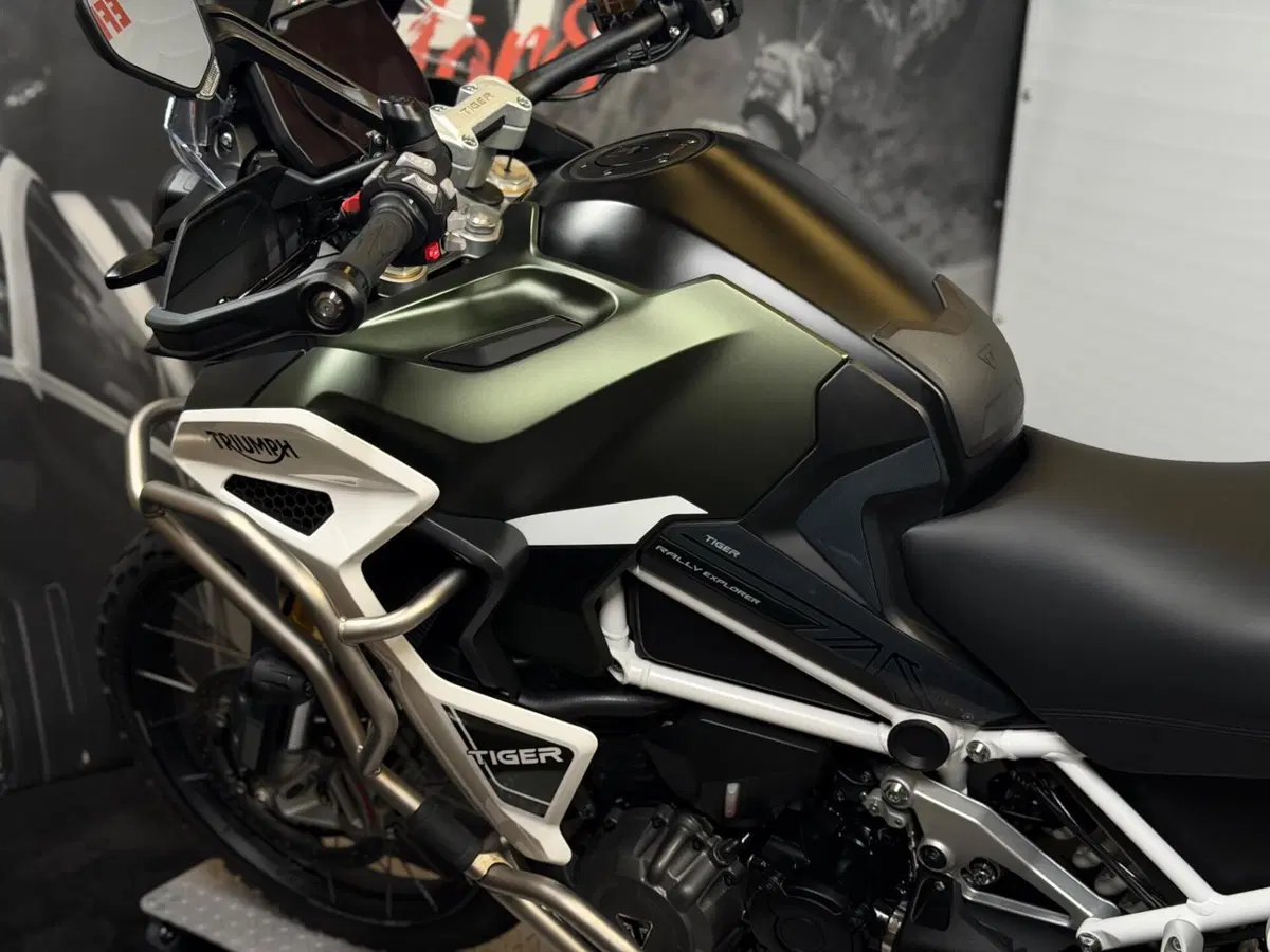 Triumph Tiger 1200 Rally Explorer (2022 - 23) (10)