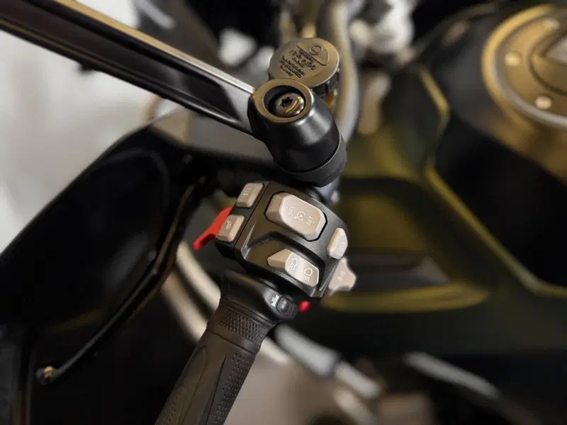 Triumph Tiger 1200 Rally Explorer (2022 - 23) (16)