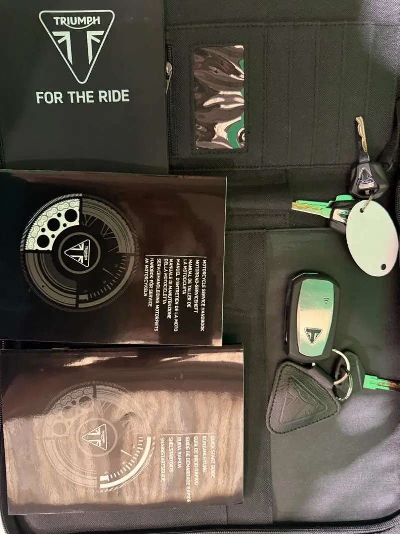 Triumph Tiger 1200 Rally Explorer (2022 - 23) (18)