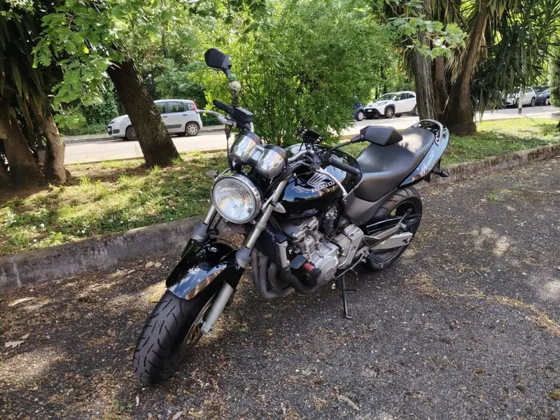 Honda Hornet 600 (2000 - 02) (8)