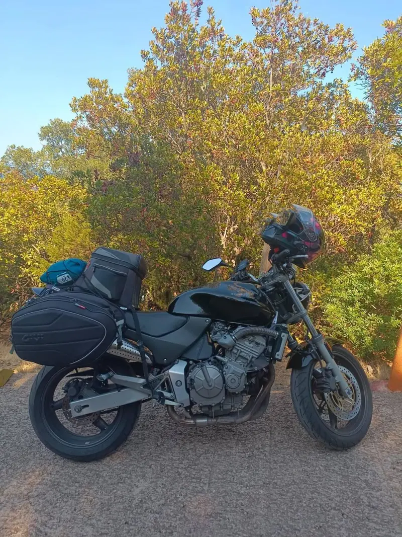 Honda Hornet 600 (2000 - 02) (9)