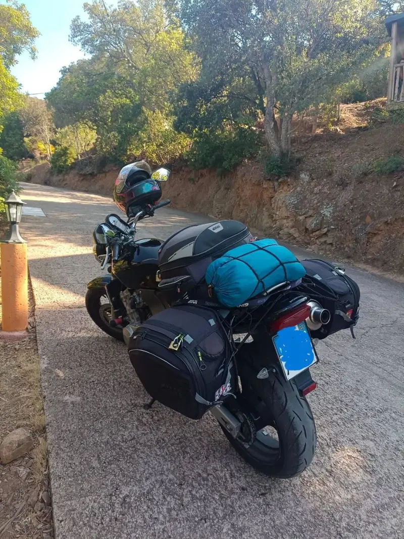 Honda Hornet 600 (2000 - 02) (10)