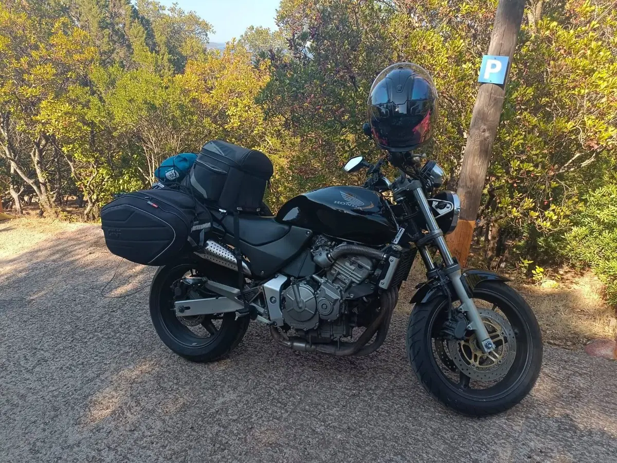 Honda Hornet 600 (2000 - 02) (11)
