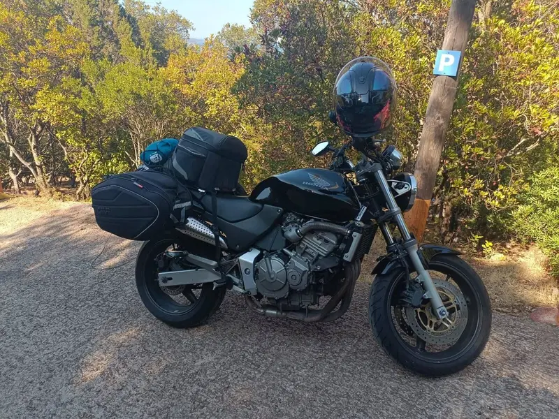 Honda Hornet 600 (2000 - 02) (11)