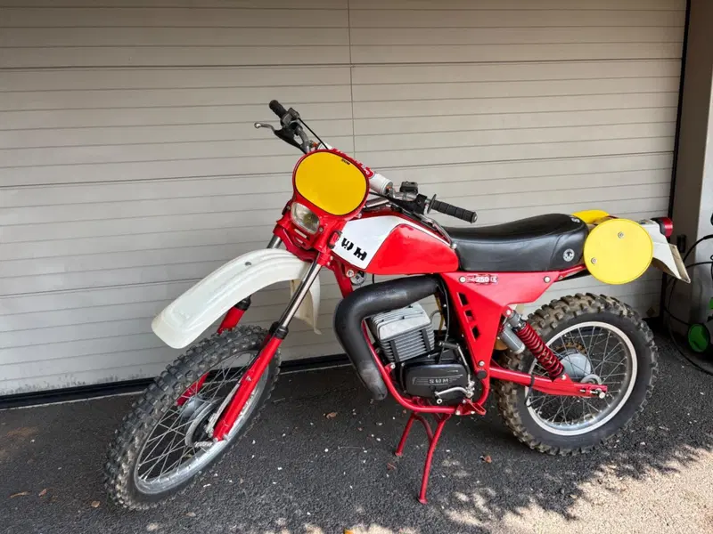 Swm GS 250 RS L (2)