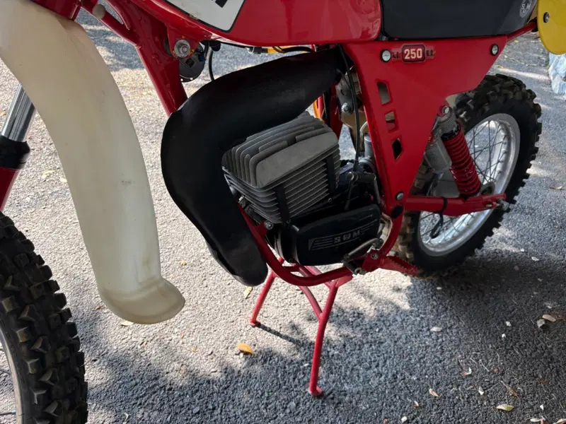 Swm GS 250 RS L (5)