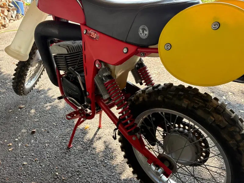 Swm GS 250 RS L (6)