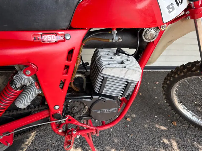 Swm GS 250 RS L (8)