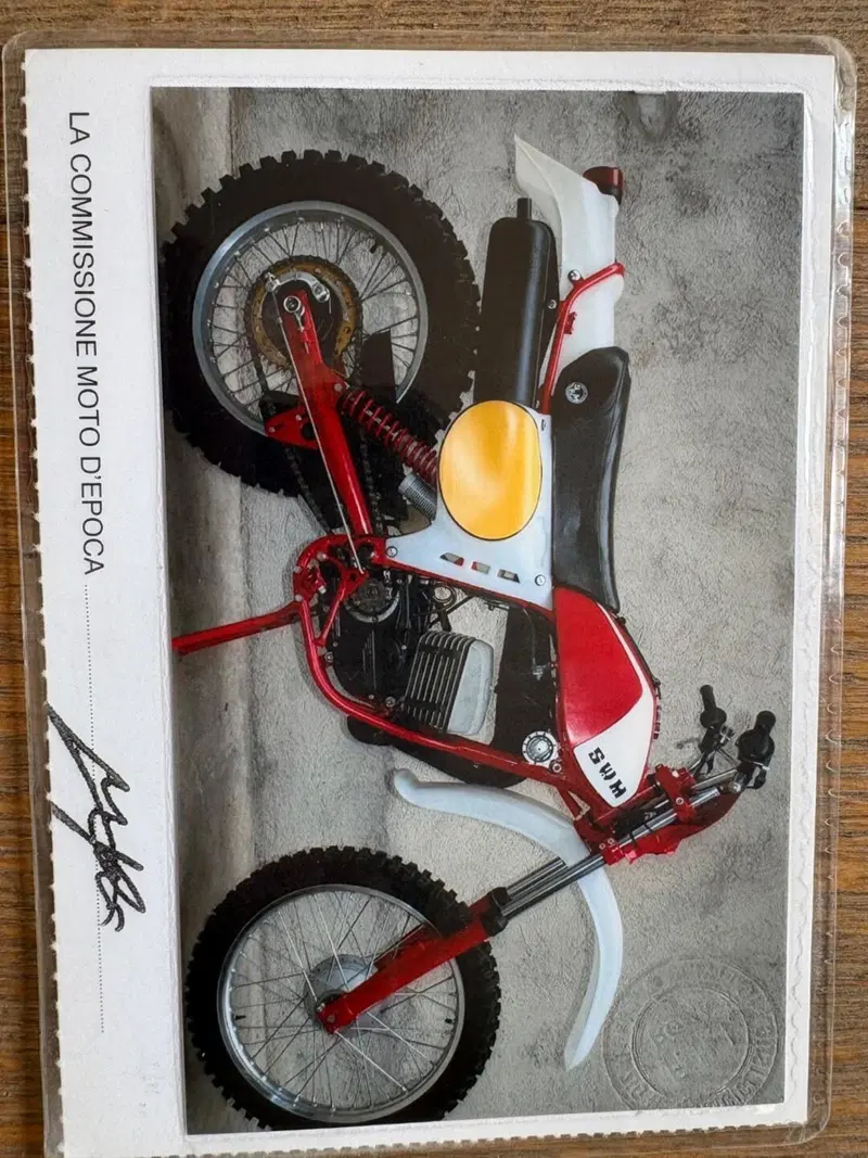 Swm GS 250 RS L (11)