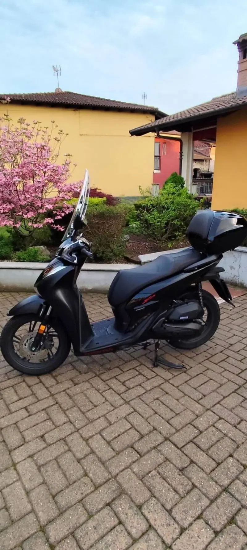 Honda SH 150i Sport (2024 - 25)
