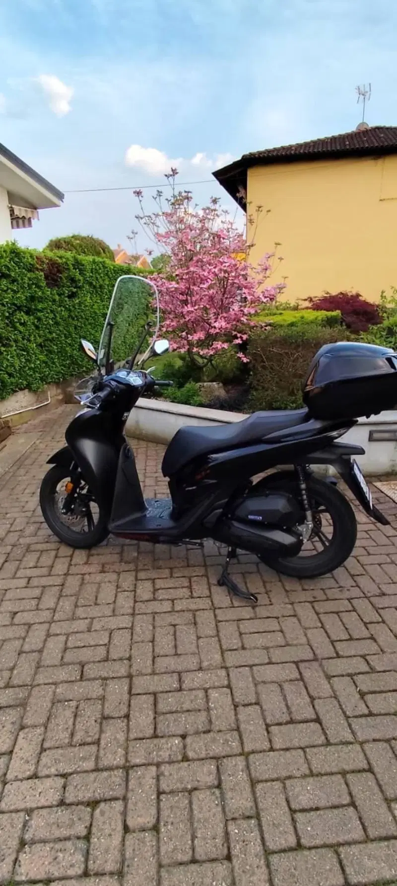 Honda SH 150i Sport (2024 - 25) (2)