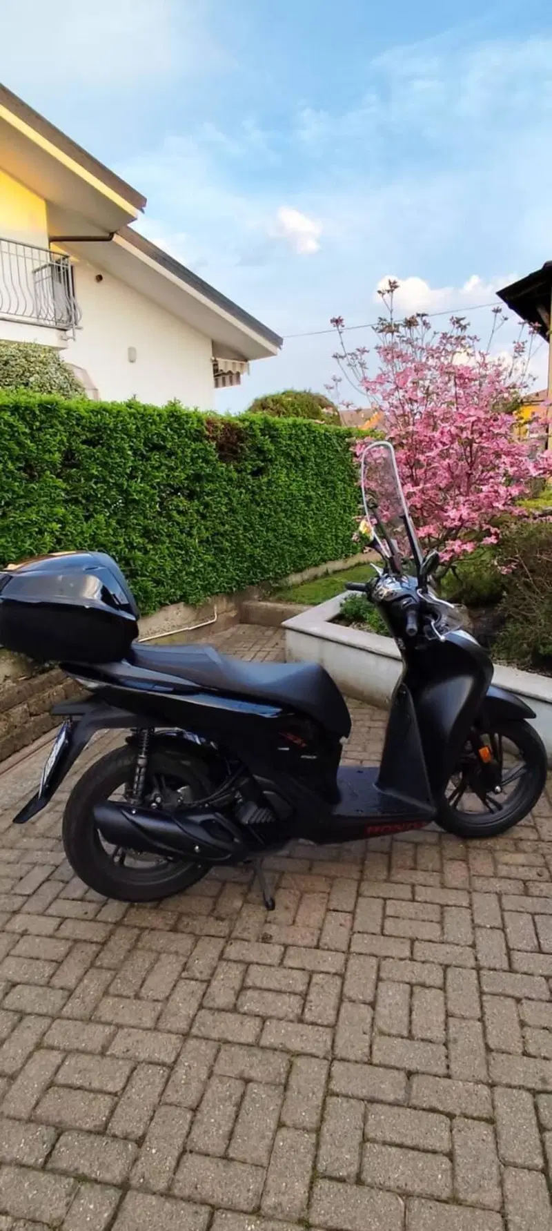 Honda SH 150i Sport (2024 - 25) (3)