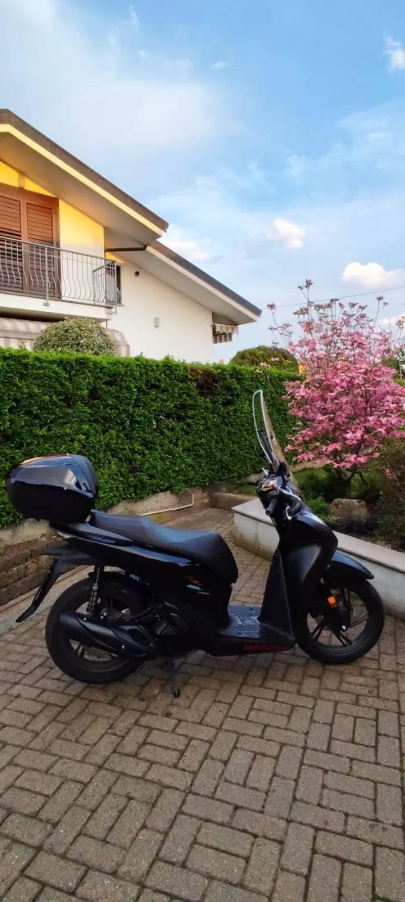 Honda SH 150i Sport (2024 - 25) (4)