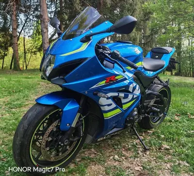 Suzuki GSX-R1000 (2017 - 18) usata