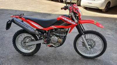 Betamotor Alp 4.0 (2008 - 17) usata