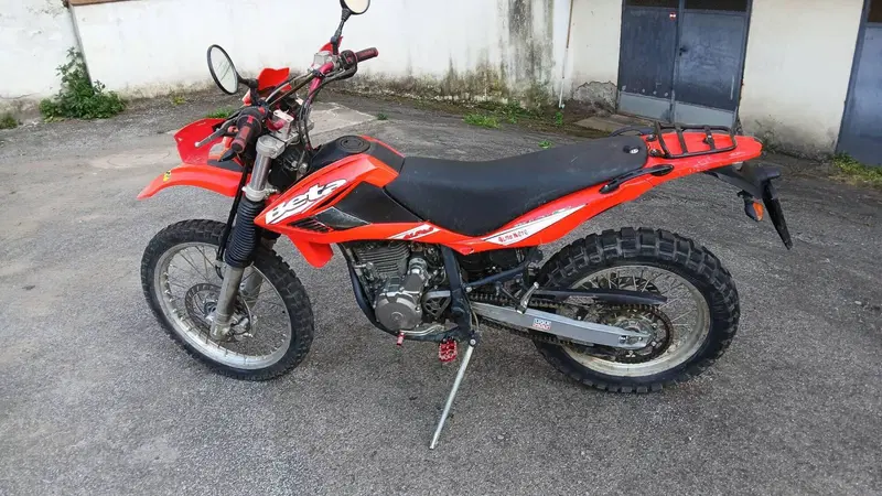 Betamotor Alp 4.0 (2008 - 17) (2)
