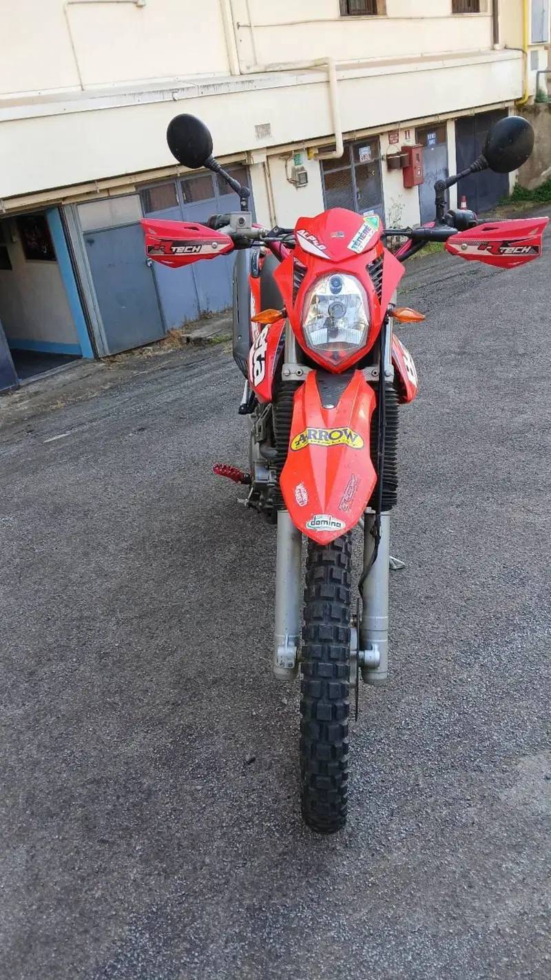 Betamotor Alp 4.0 (2008 - 17) (3)
