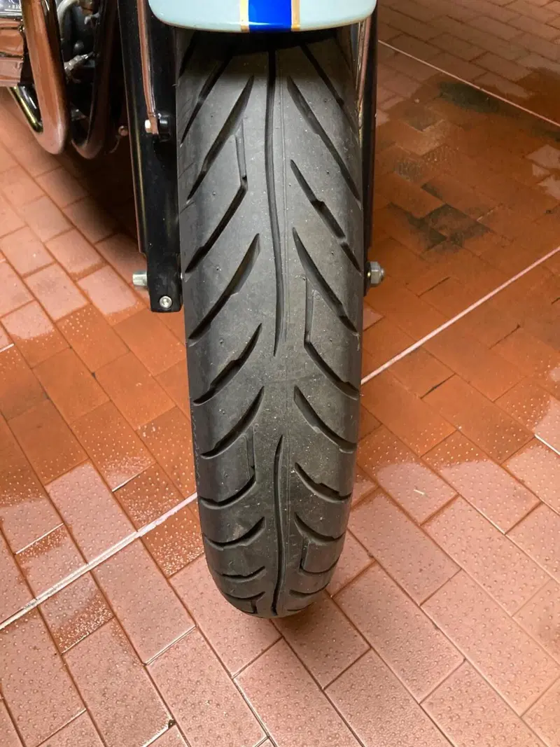 Triumph Bonneville T100 50th Anniversary (2009) (3)