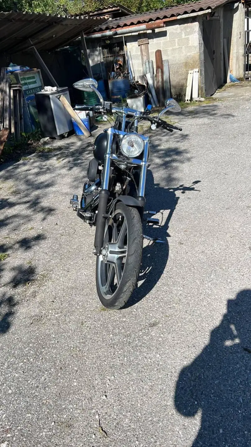 Harley-Davidson 1584 Night Train (2006 - 07) - FXSTB (4)
