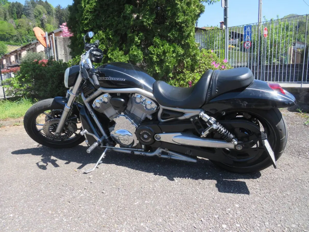 Harley-Davidson 1250 V-Rod (2008 - 12) - VRSCAW (4)