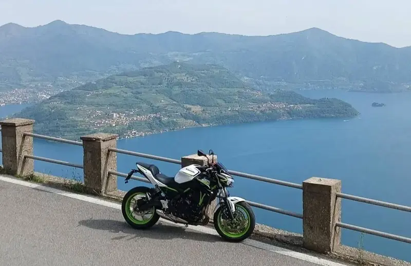 Kawasaki Z 650 (2021 - 24)